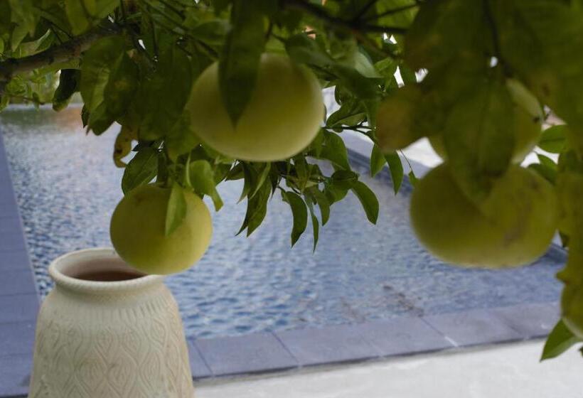 Residence Hotel Baia Portinenti