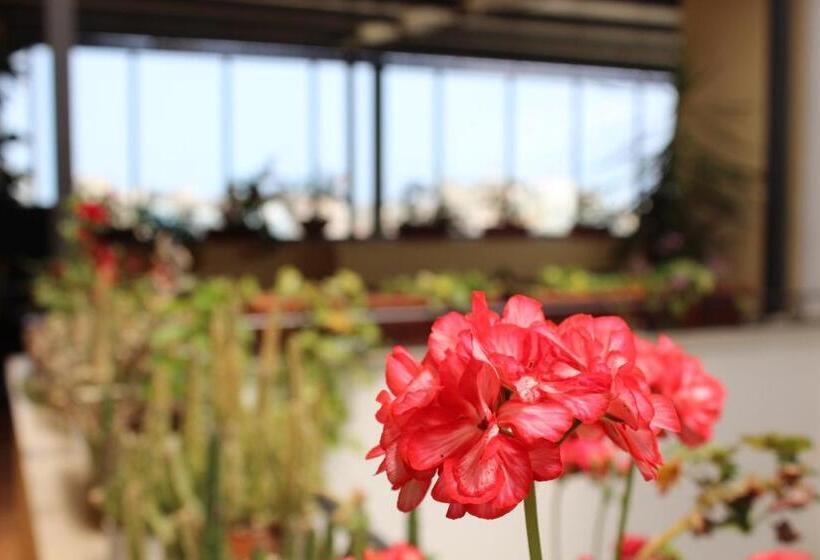 酒店 Residence Le Chiavi Di San Francesco