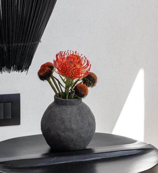 酒店 Rocabella Mykonos