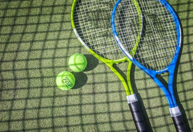 בית מלון כפרי Royal