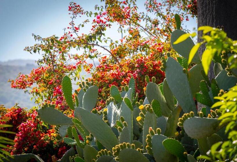 乡村酒店  La Terra Dei Sogni Country