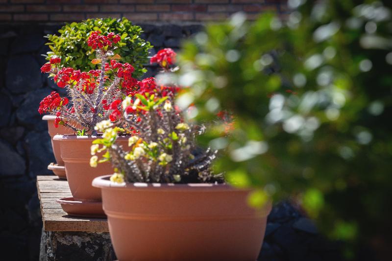 乡村酒店  La Terra Dei Sogni Country