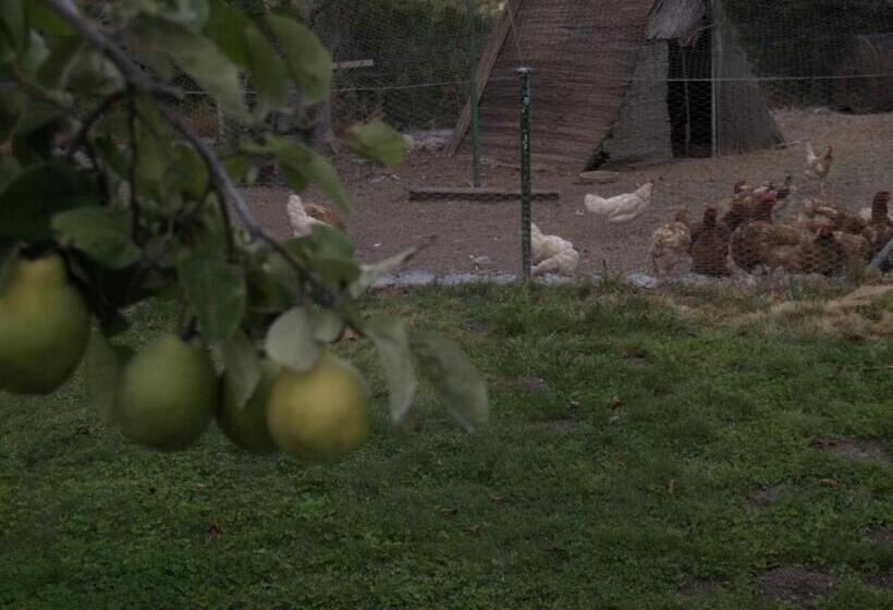 فندق ريفى Rural & Spa Las Nubes