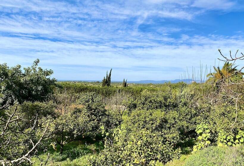 בית מלון כפרי Son Terrassa