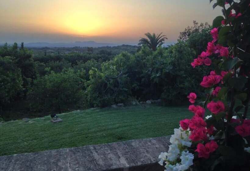 בית מלון כפרי Son Terrassa