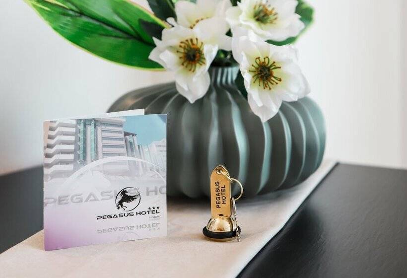 호텔 Pegasus