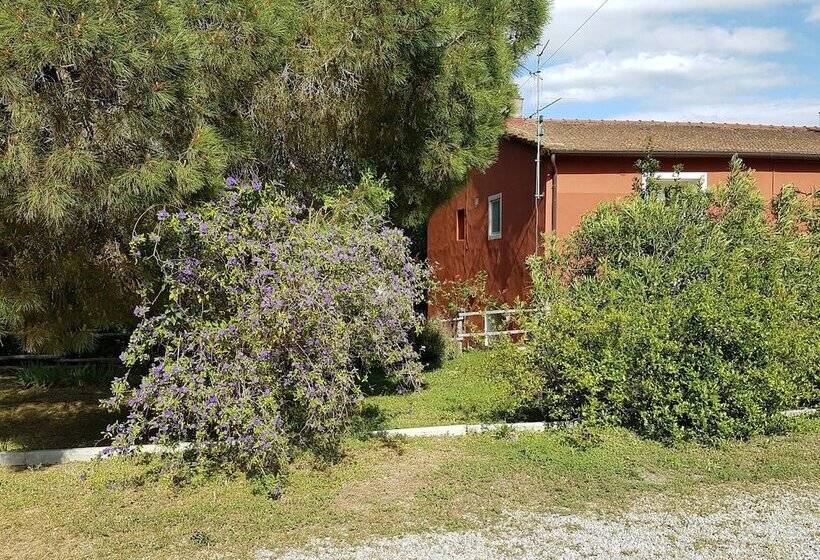 فندق Tenuta Col Di Sasso