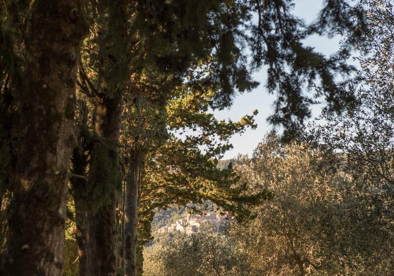 Отель Tenuta La Bandita