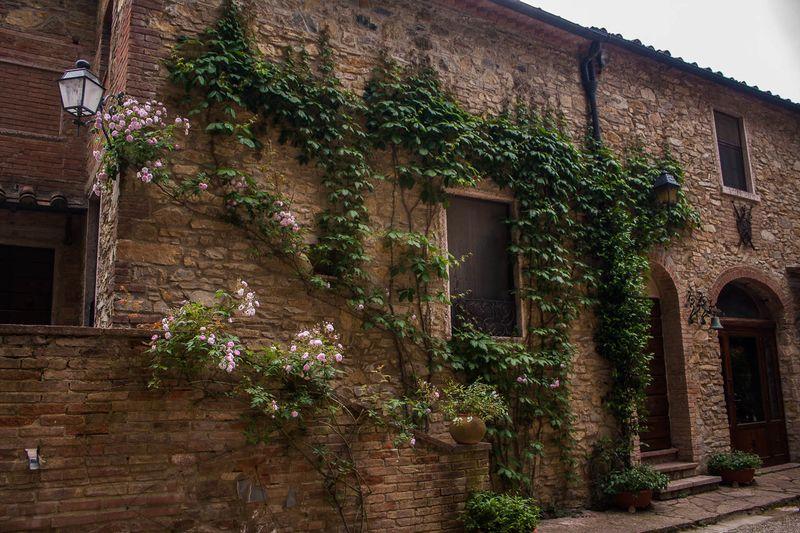 Отель Tenuta La Bandita