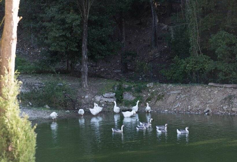 Отель Tenuta La Bandita