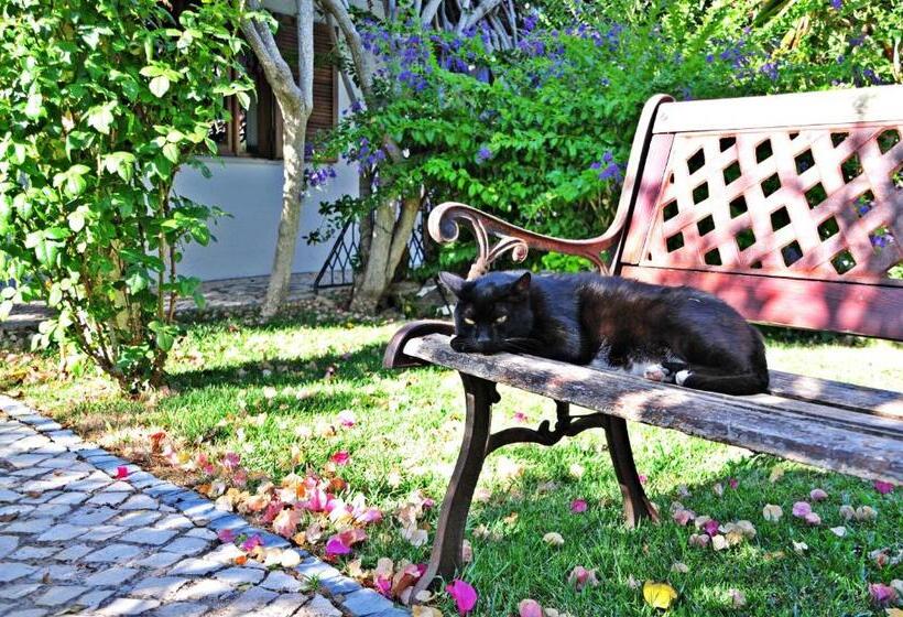 ホテル Uma Casa A Beira Sol