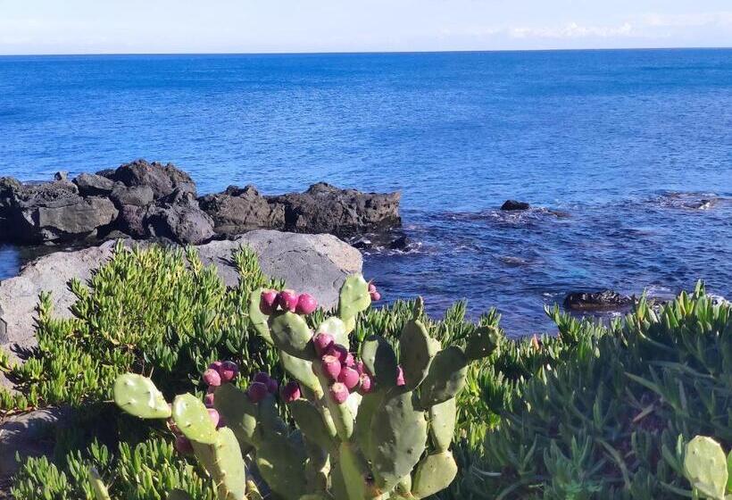 בית מלון כפרי Villa Delle Palme