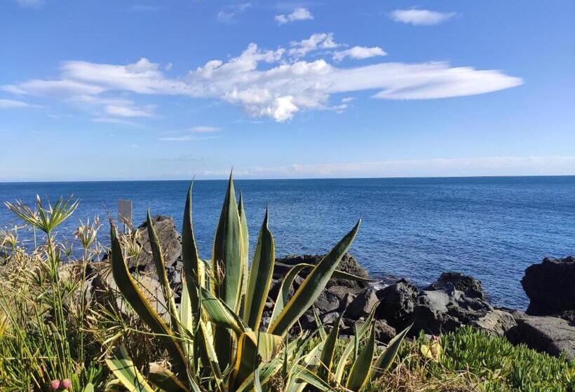 בית מלון כפרי Villa Delle Palme