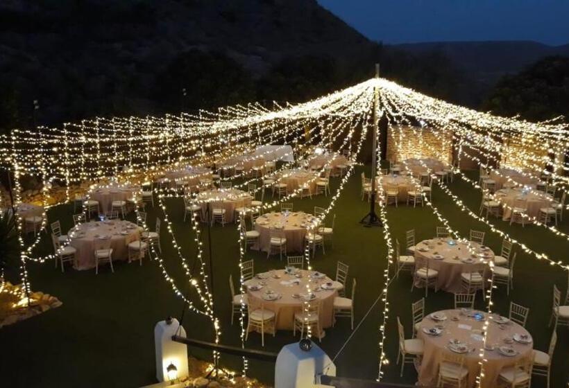 La Almendra Y El Gitano