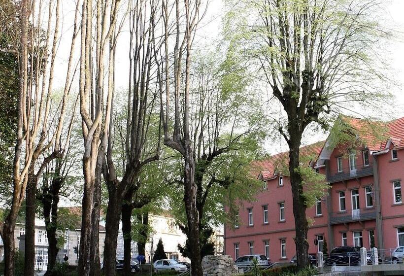 Palace Hotel & Spa   Termas De Sao Vicente