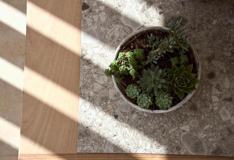 酒店 Once In Mykonos  Designed For Adults