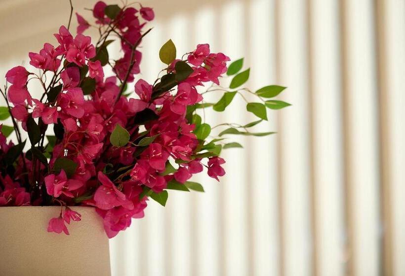 酒店 Once In Mykonos  Designed For Adults