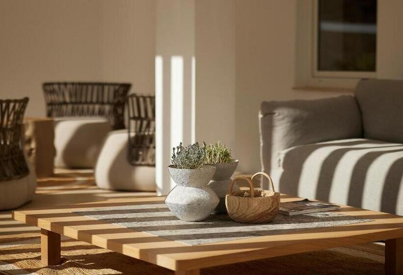 酒店 Once In Mykonos  Designed For Adults