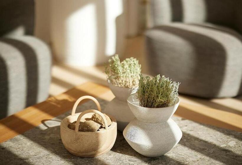 酒店 Once In Mykonos  Designed For Adults