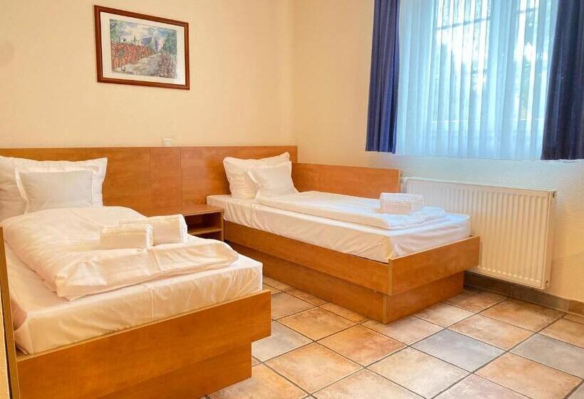 בית מלון כפרי Vintage