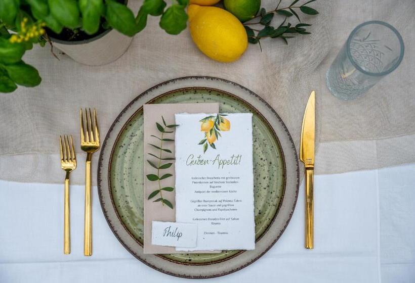 בית מלון כפרי Vintage