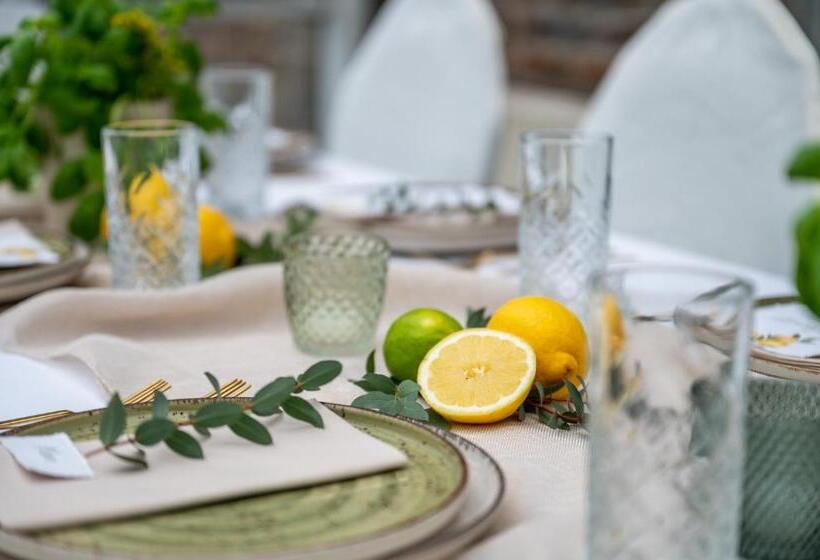 בית מלון כפרי Vintage