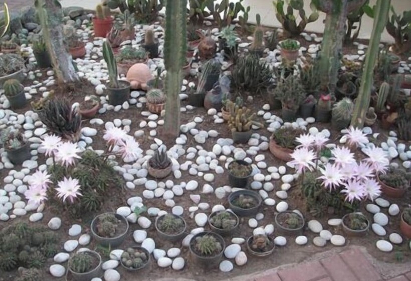 Club Hotel Rama All Inclusive