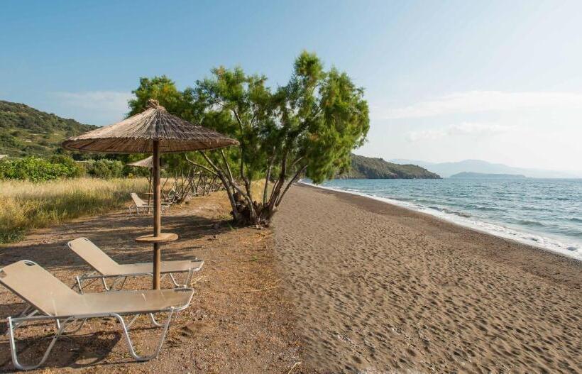 Delfinia Hotel & Bungalows