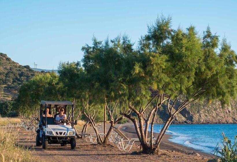 Delfinia Hotel & Bungalows