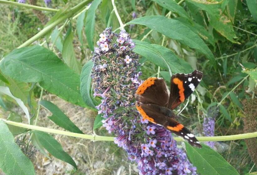 בית מלון כפרי Agriturismo Al Marnich