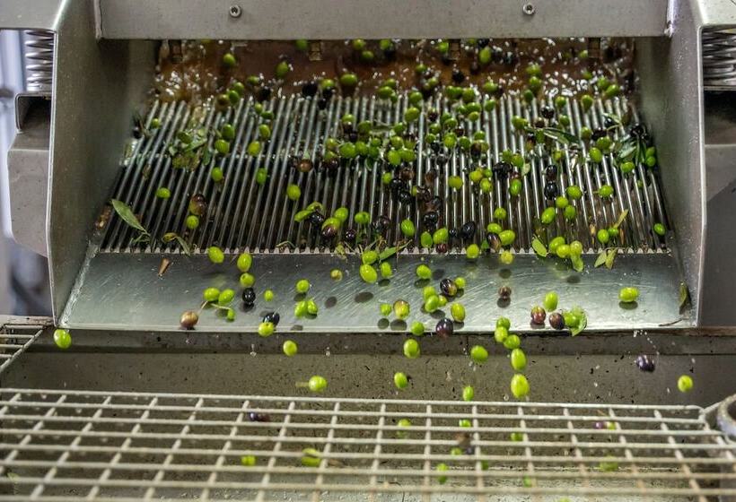 בית מלון כפרי Agriturismo Vecchio Borgo Di Inalbi