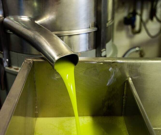 בית מלון כפרי Agriturismo Vecchio Borgo Di Inalbi