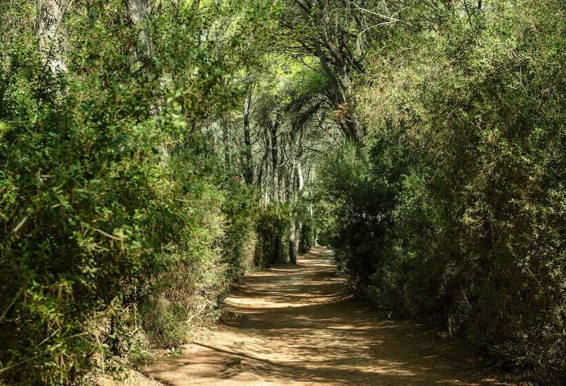 酒店 Amareclub Baia Dei Turchi Resort Adults Only