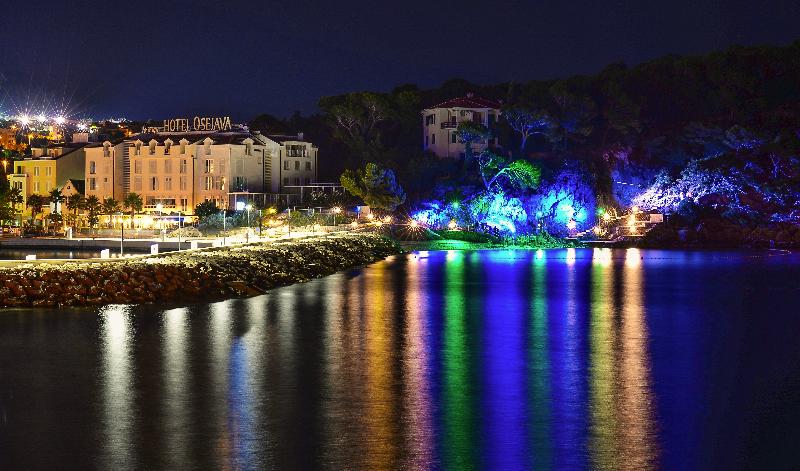 ホテル Apartel Park Osejava