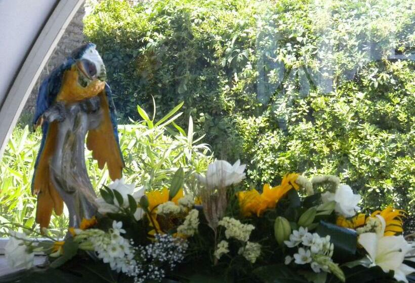 هتل Arathena Rocks