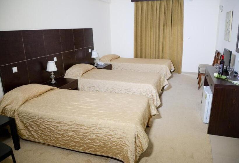 בית מלון כפרי Arta Palace