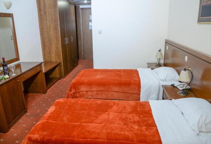 בית מלון כפרי Arta Palace