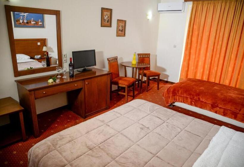 בית מלון כפרי Arta Palace