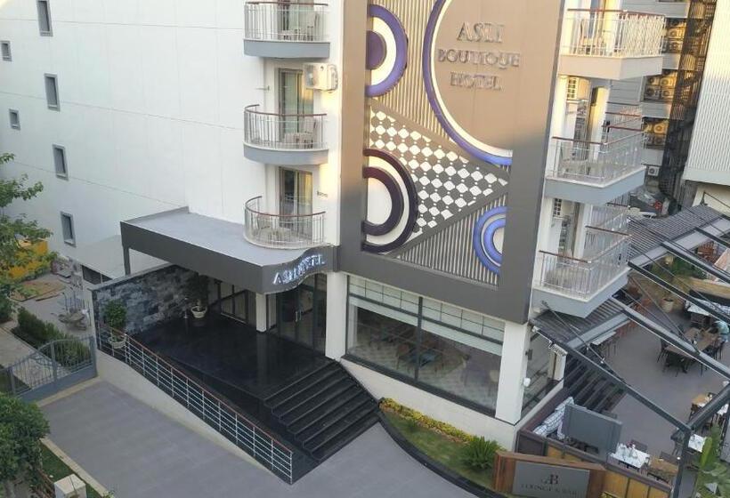 فندق Asli