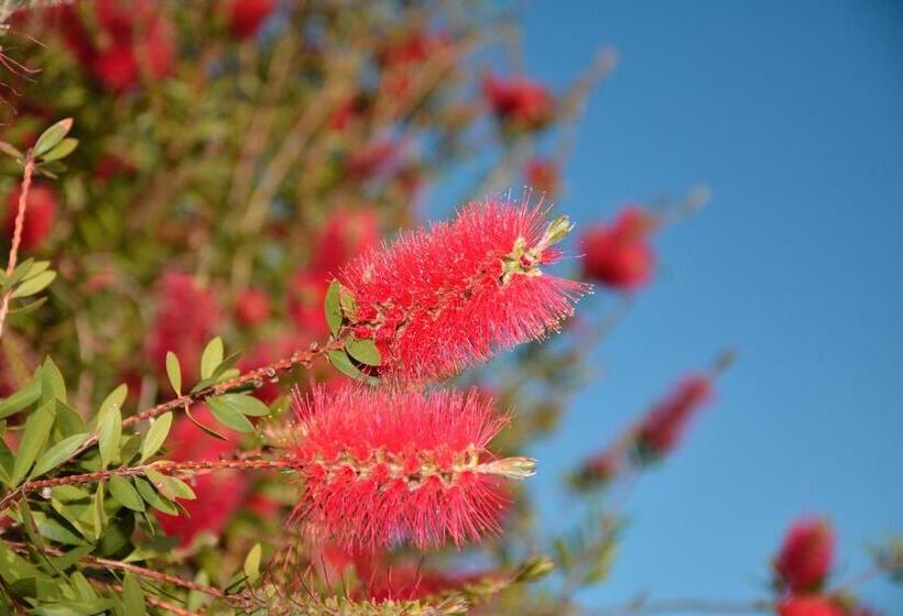 Отель Il Borgo Bagabaga   Exclusive Country Retreat