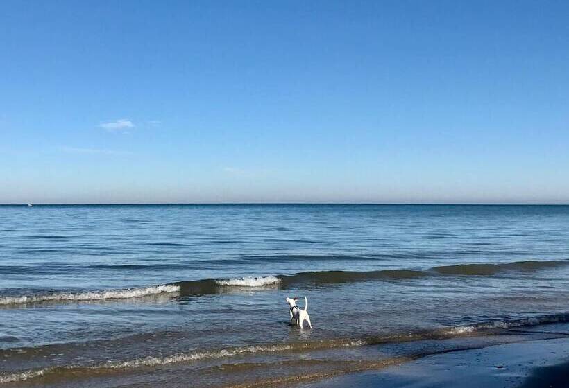 Отель Borgo Marina