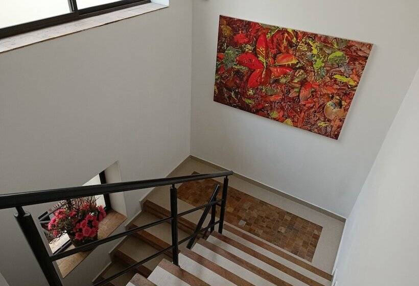 호텔 Boutique Confort Suites