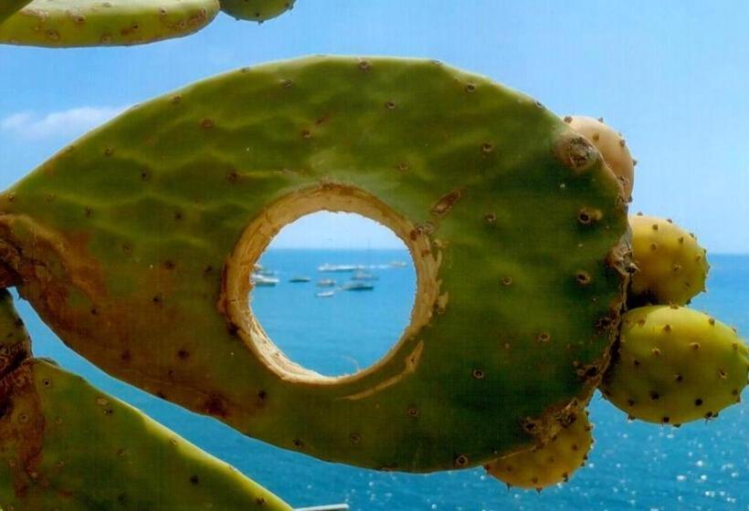 בית מלון כפרי Casa Rosa Terme