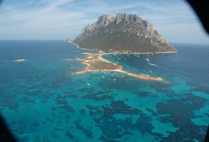 בית מלון כפרי Castello Di Tavolara