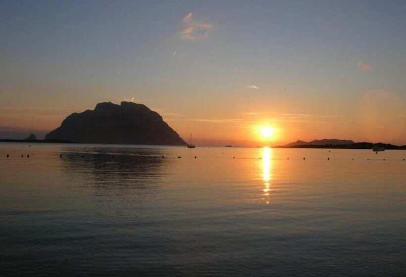 בית מלון כפרי Castello Di Tavolara