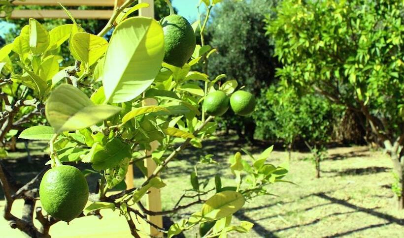 Отель Corfu Senses Resort