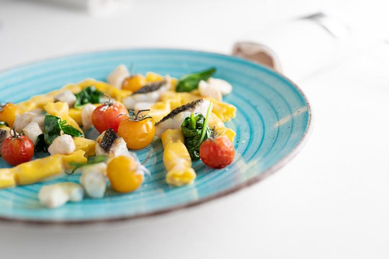 בית מלון כפרי Doge