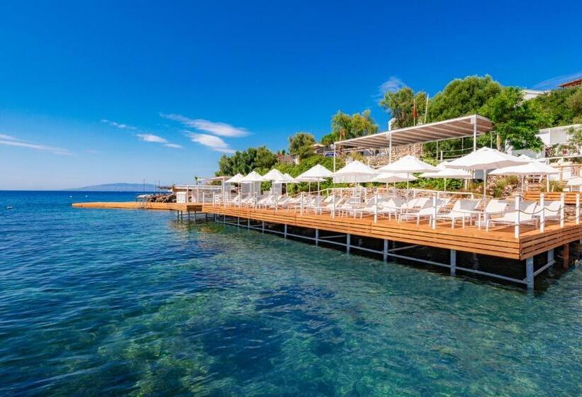 Doria Hotel Bodrum City Center