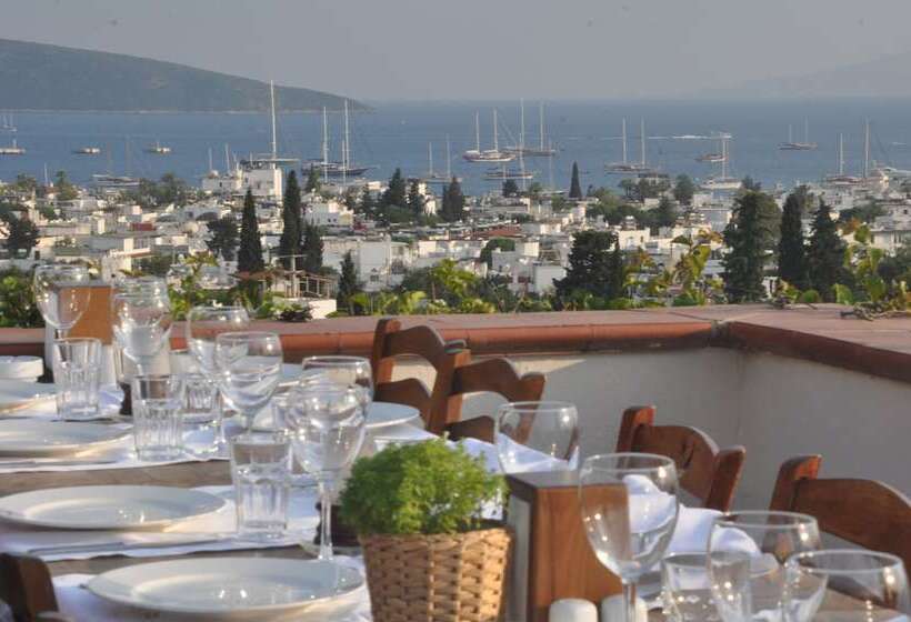 El Vino Hotel & Suites