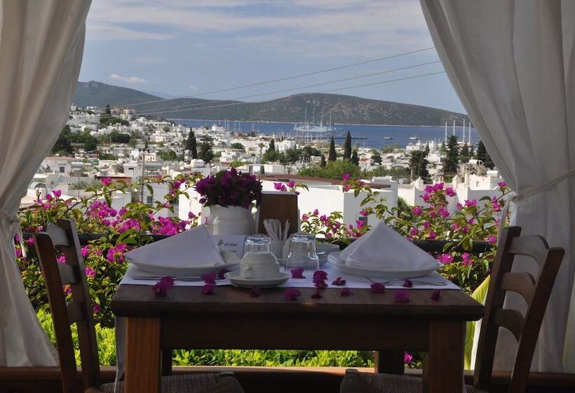 El Vino Hotel & Suites